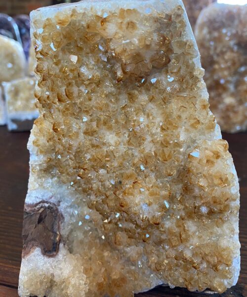 Premium High Grade Citrine Druzy 21 Mini Geode Cluster Piece Cut Base 983g H13.5xW10.5xD7.5cm