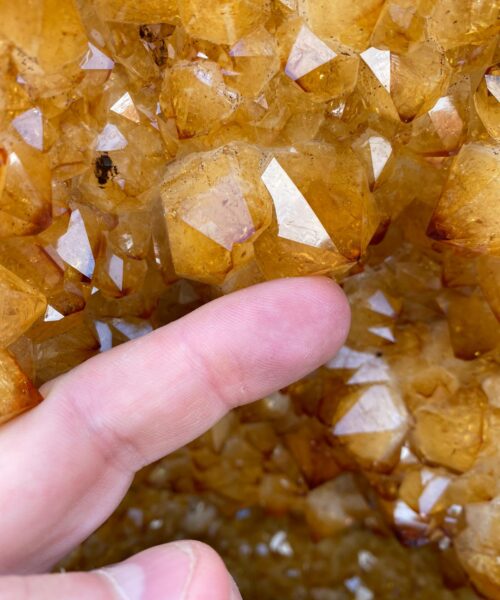 Citrine Geode 302 Crystal Cluster Druzy Premium Grade 25.84kg H42xW29xD25cm - Image 11