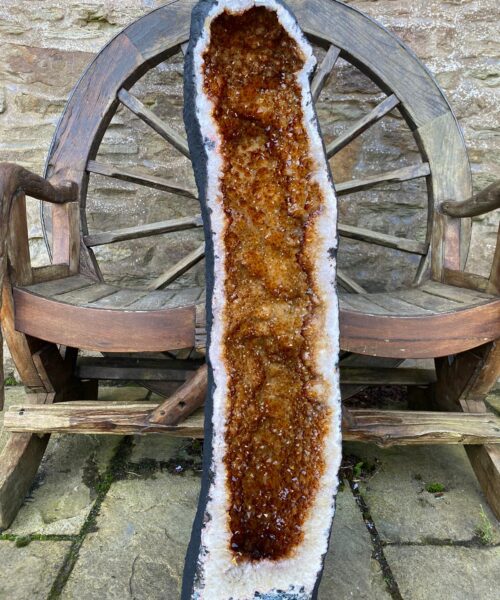 Extra Large Very Tall - 76cm & Taller