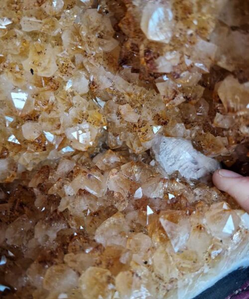 Citrine Geode Pair 431 & 432 Crystal Cluster Druzy Premium Grade 19kg each H35xW33xD18cm (can split) - Image 10