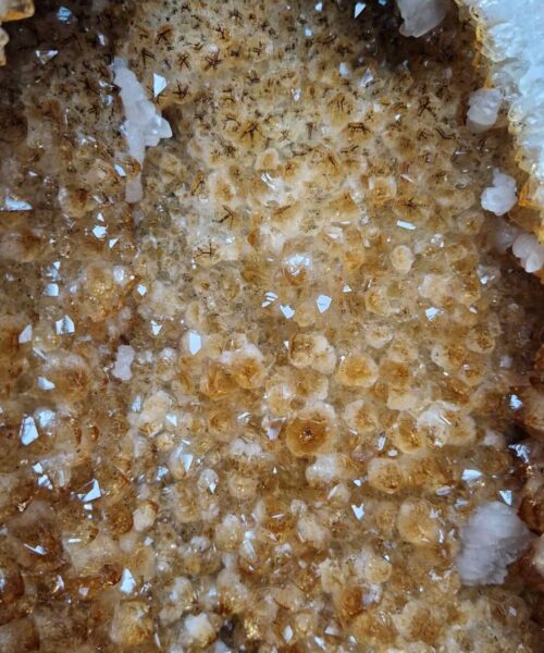 Tall Citrine Geode 447 Crystal Cluster Druzy Premium Grade 44.38kg H52xW52xD20cm - Image 10