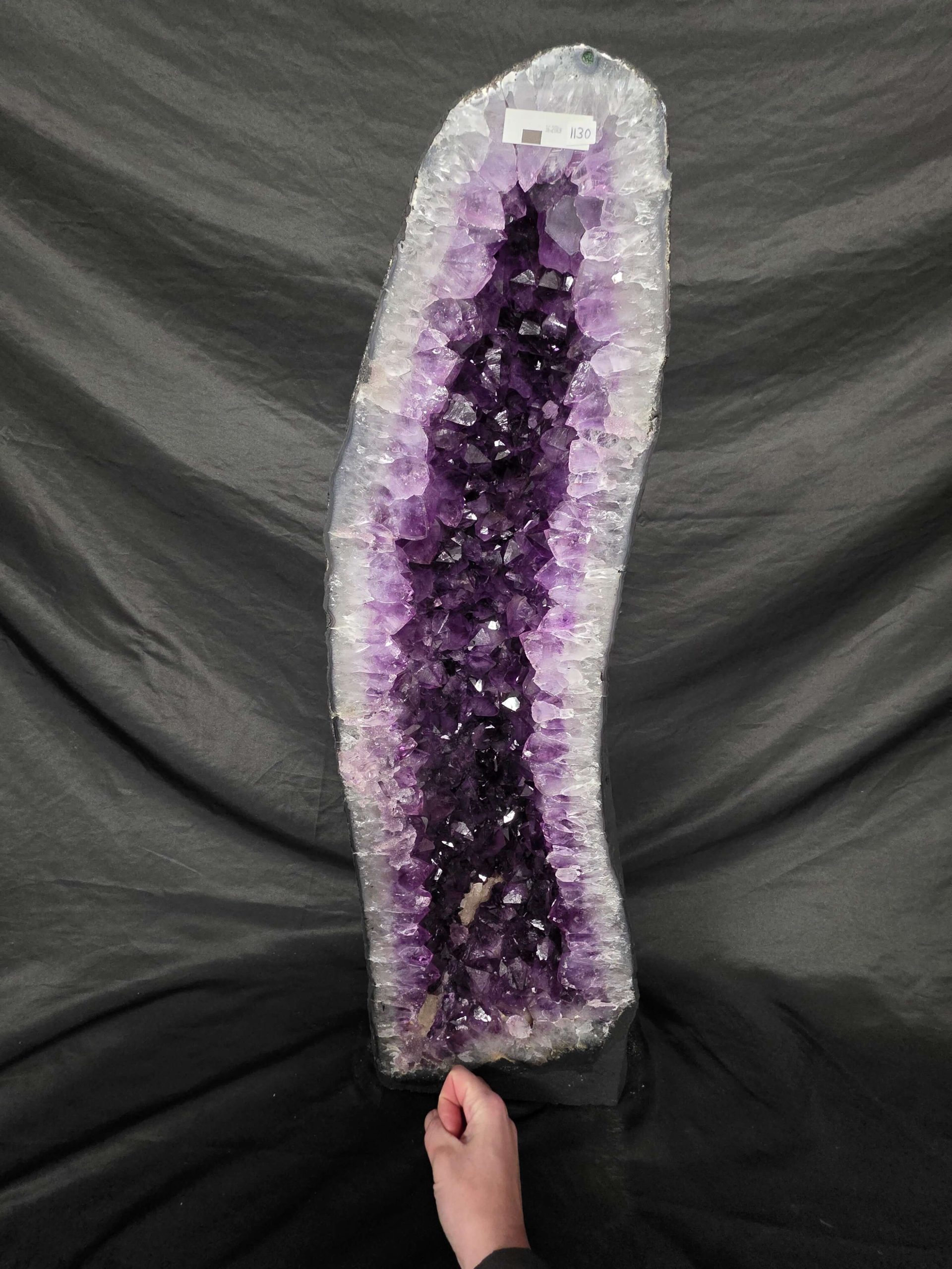 Amethyst Geode 1130 8-12