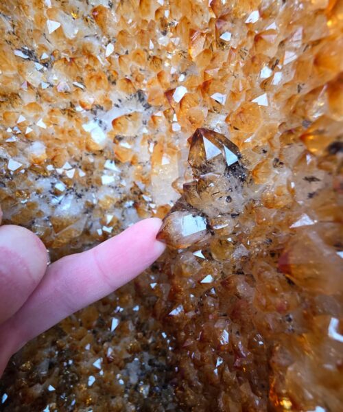 Very Tall Citrine Geode 556 Crystal Cluster Druzy Premium Grade 45.67kg H80xW26xD22cm - Image 11
