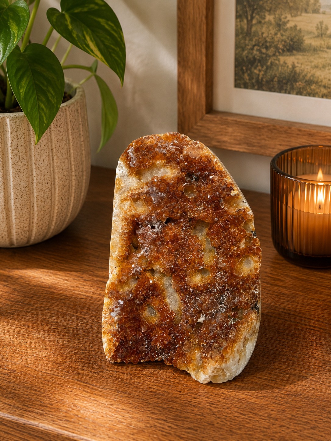 Premium High Grade Citrine Druzy 163 Mini Geode Cluster Piece 956g H12xW9xD7cm