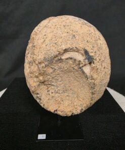 Premium Agate Geode on Stand 11 – 2.189g - H20xW13xD8cm - Image 4