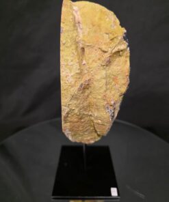 Premium Agate Geode on Stand 12 – 3.375g - H16xW15.5xD10cm - Image 3