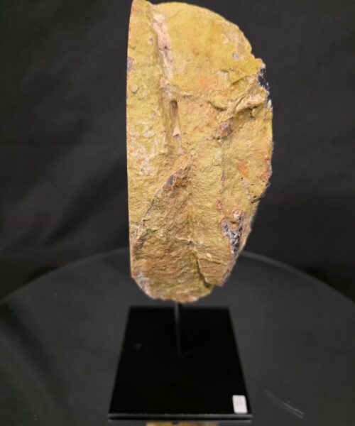Premium Agate Geode on Stand 12 – 3.375g - H16xW15.5xD10cm - Image 3