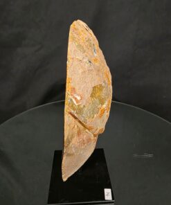 Premium Agate Geode on Stand 14 – 1.411g - H20xW16xD8cm - Image 5