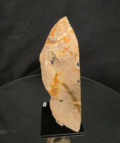 Premium Agate Geode on Stand 14 – 1.411g - H20xW16xD8cm - Image 7