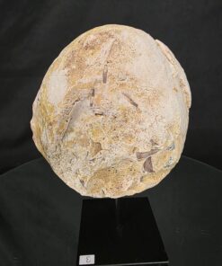 Premium Agate Geode on Stand 3 – 2.002g - H20xW13xD8cm - Image 4