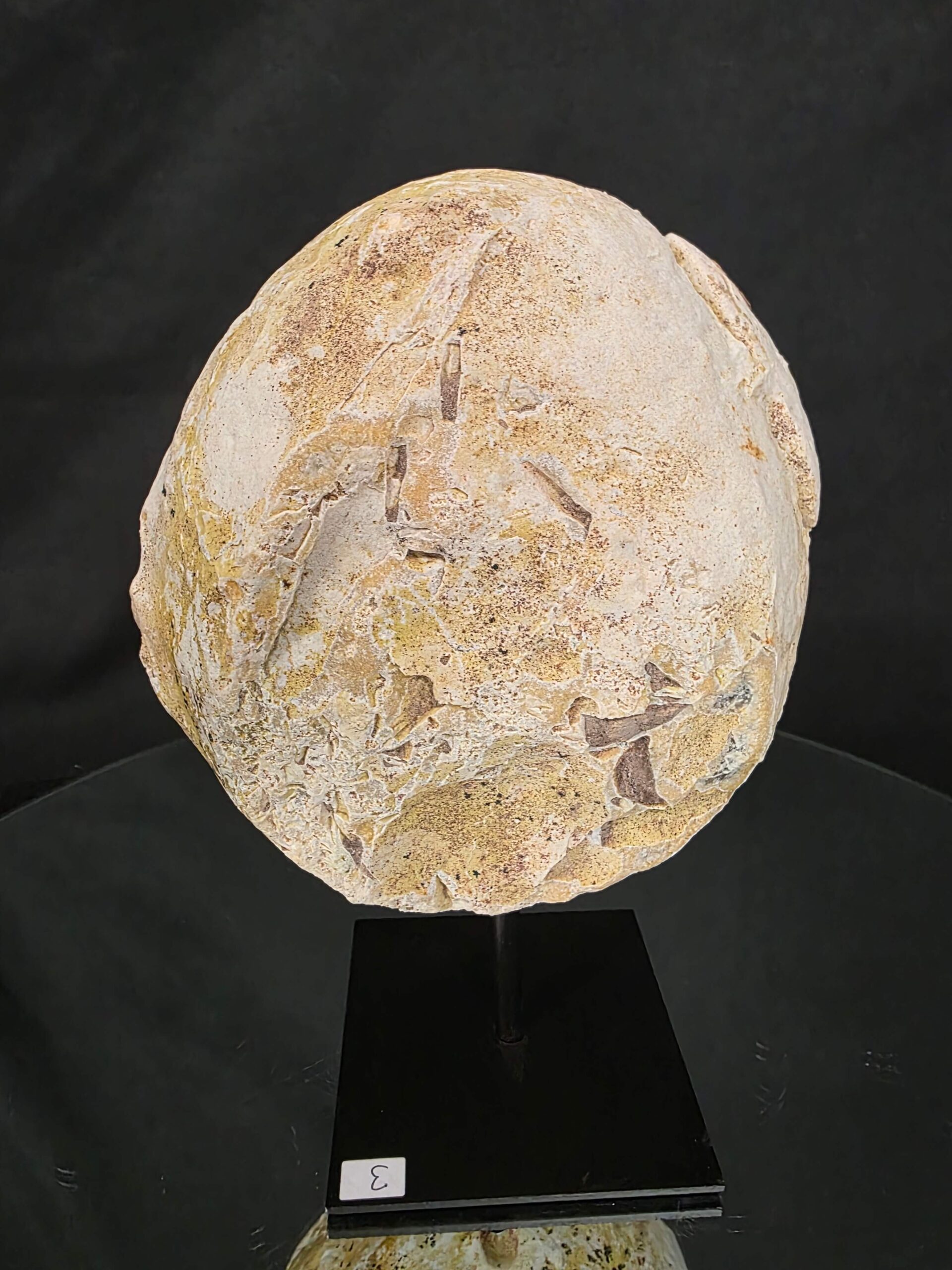 Premium Agate Geode on Stand 3 – 2.002g - H20xW13xD8cm - Image 4