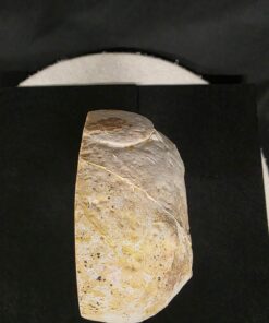 Premium Agate Geode on Stand 3 – 2.002g - H20xW13xD8cm - Image 9