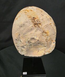 Premium Agate Geode on Stand 6 – 2.582g - H21.5xW13xD8cm - Image 4