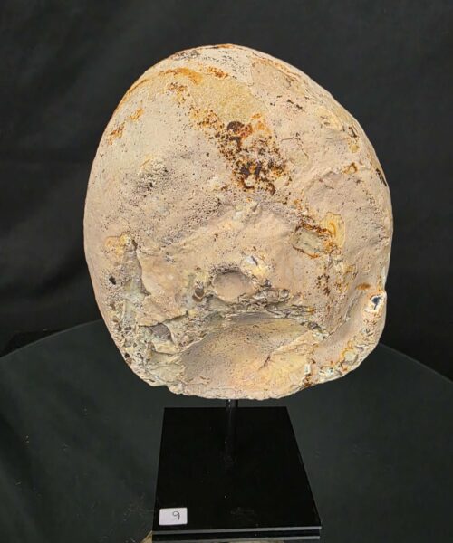 Premium Agate Geode on Stand 6 – 2.582g - H21.5xW13xD8cm - Image 4