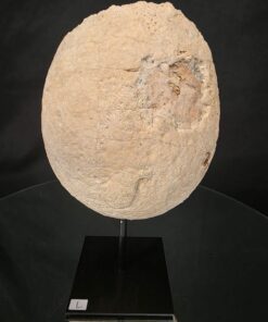 Premium Agate Geode on Stand 7 – 1.591g - H22xW14xD8cm - Image 4