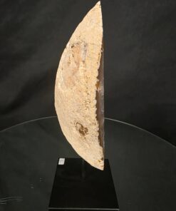 Premium Agate Geode on Stand 7 – 1.591g - H22xW14xD8cm - Image 5