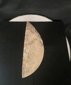 Premium Agate Geode on Stand 7 – 1.591g - H22xW14xD8cm - Image 9