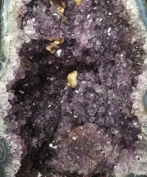 Amethyst Crystal Geode 1172 Premium Queen Grade 13.32kg H39xW23xD14cm - Image 8