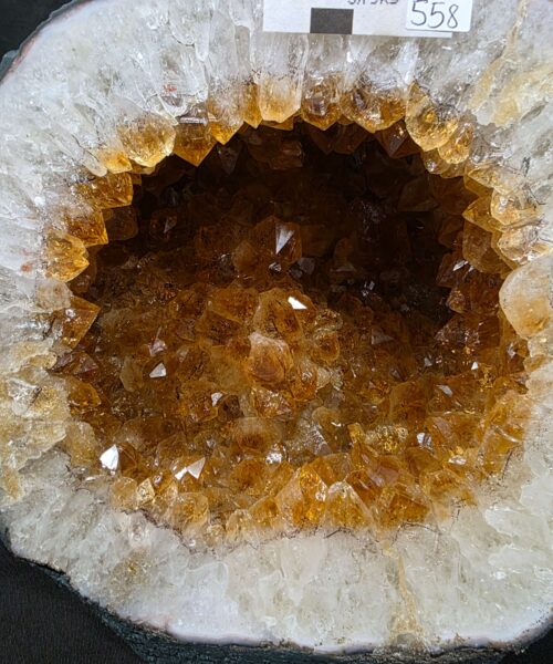 Citrine Geode 558 Crystal Cluster Druzy Premium Grade 5.79g H29xW19xD12cm - Image 5