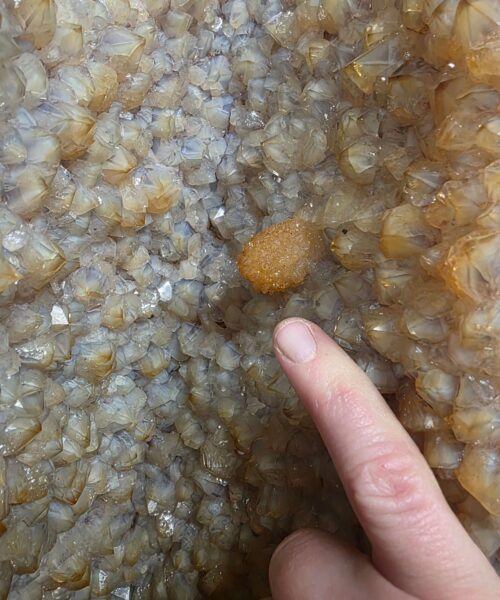 Very Tall Citrine Geode PAIR 604-605 Crystal Cluster Druzy Premium Grade 91kg each H120xW33xD23cm - Image 9